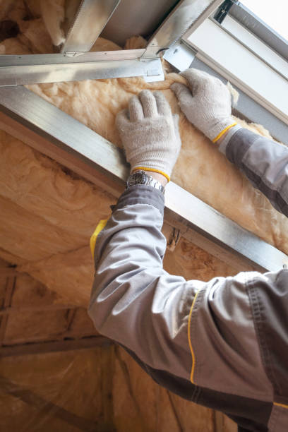 Best Insulation Installation Services in Frankston, TX