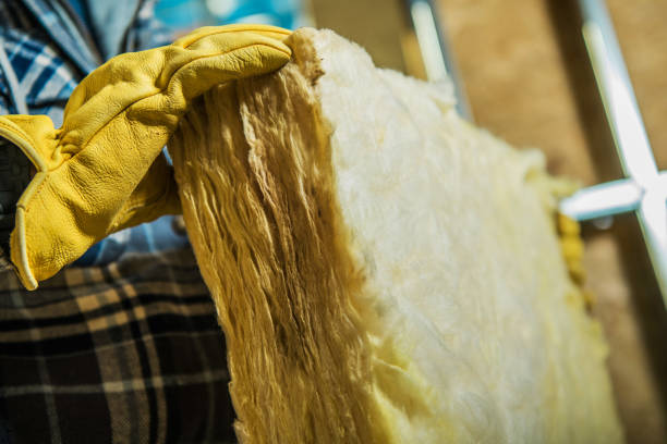 Best Insulation Maintenance and Repair in Frankston, TX